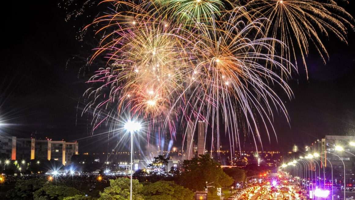 Queima de fogos com estampidos põem em risco vidas de animais e pessoas