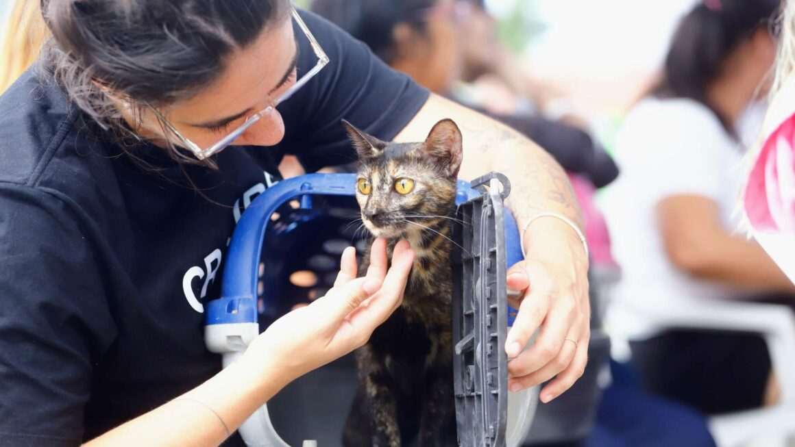 Agendamento para o Pet Ceará Móvel no estacionamento da Arena Castelão já está disponível