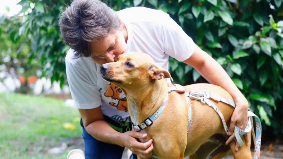 Com dois anos de atuação Secretaria da Proteção Animal celebra mais de 100 mil atendimentos realizados no Ceará