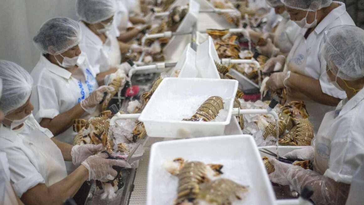 Empresas exportadoras cearenses afetadas por tarifaço de Trump têm até 5 de setembro para manifestar interesse em edital