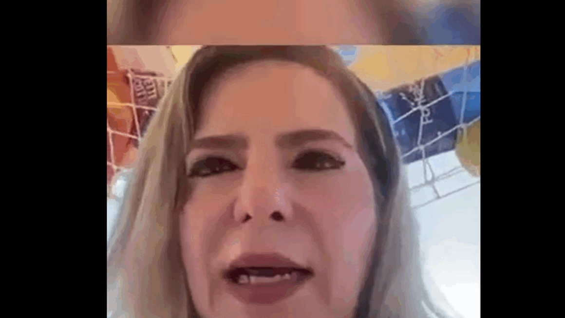 Deputada cearense Luizianne Lins é presa em flotilha e faz apelo contra Israel