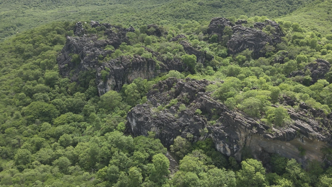 Governo do Ceará cria 5 novas áreas protegidas na caatinga