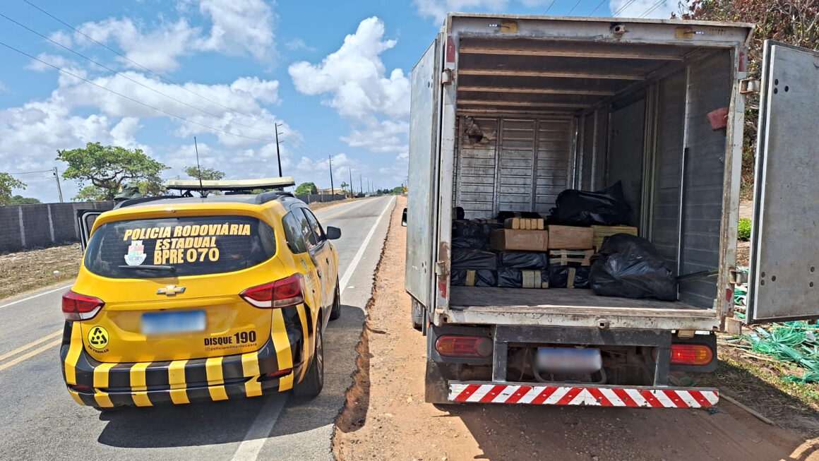 Mais de uma tonelada de maconha é apreendida em operação da PMCE em Cascavel no interior do Ceará