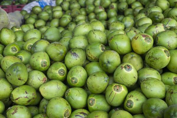 Carnaval 100% energia: o poder do coco e da água de coco