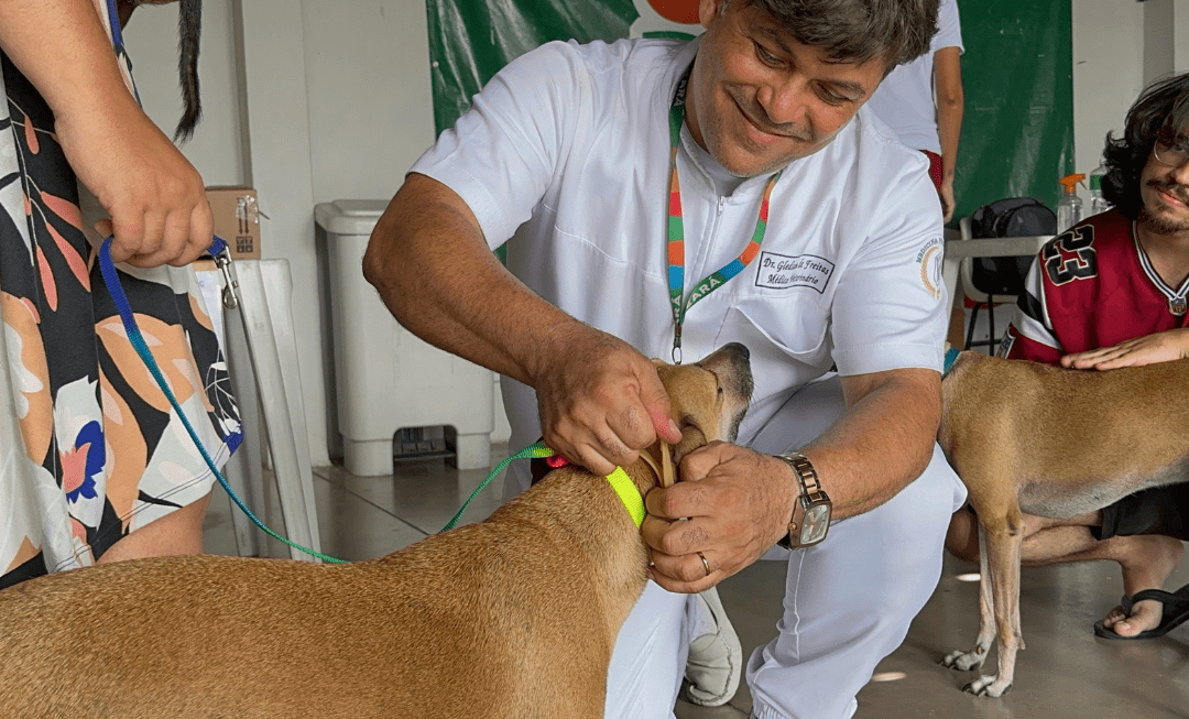 GIRO PET CEARÁ CHEGA AO CARIRI: VACINAÇÃO E COLEIRAS ANTIPARASITÁRIAS GRATUITAS EM 3 CIDADES